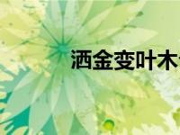 洒金变叶木介绍（洒金变叶木）