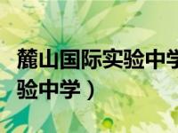 麓山国际实验中学今年高考情况（麓山国际实验中学）