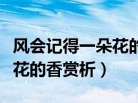 风会记得一朵花的香好书推荐（风会记得一朵花的香赏析）