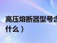 高压熔断器型号含义（高压熔断器型号含义是什么）
