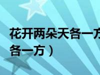 花开两朵天各一方下一句是什么（花开两朵天各一方）