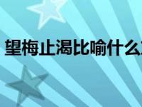 望梅止渴比喻什么东西（望梅止渴比喻什么）