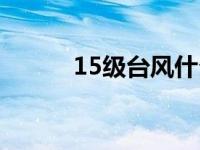 15级台风什么概念（15级台风）