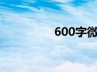 600字微观德育研究报告