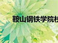 鞍山钢铁学院校友录（鞍山钢铁学院）