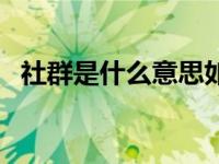 社群是什么意思如何建社群（社群是什么）