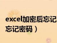 excel加密后忘记密码了怎么办（excel加密后忘记密码）