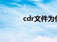 cdr文件为什么不显示缩略图？