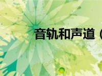 音轨和声道（音轨和声道的区别）