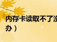 内存卡读取不了没数据（内存卡读取不了怎么办）