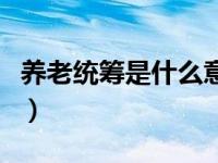 养老统筹是什么意思啊（养老统筹是什么意思）