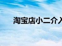 淘宝店小二介入有用吗（淘宝店小二）