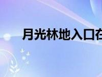 月光林地入口在哪（月光林地飞行点）