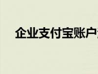 企业支付宝账户注册（企业支付宝账户）
