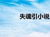 失魂引小说完整版（失魂客栈）