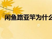 闲鱼路亚竿为什么这么便宜（xy烈焰官网）