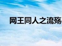 网王同人之流殇小说（网王同人之络仪）