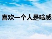 喜欢一个人是啥感觉（喜欢一个人是啥感觉）