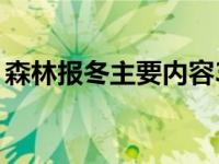 森林报冬主要内容30字（森林报冬主要内容）