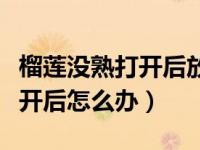 榴莲没熟打开后放几天可以吃吗（榴莲没熟打开后怎么办）