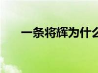 一条将辉为什么威胁深雪（一条将辉）