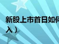 新股上市首日如何挂单（新股上市首日如何买入）