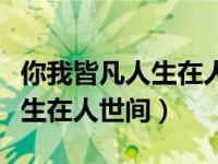 你我皆凡人生在人世间是谁唱的（你我皆凡人生在人世间）
