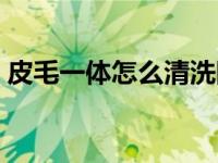 皮毛一体怎么清洗图解（皮毛一体怎么清洗）
