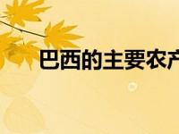 巴西的主要农产品（巴西的主要港口）