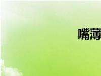 嘴薄能啃硬骨头。
