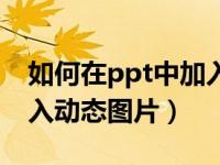 如何在ppt中加入动态图表（如何在ppt中加入动态图片）