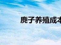 麂子养殖成本与利润（麂子养殖）
