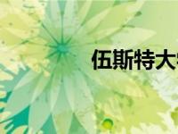 伍斯特大学（伍斯特大学）