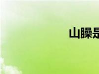 山臊是什么（山臊）