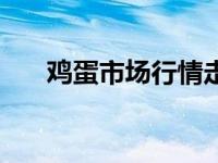 鸡蛋市场行情走势图（鸡蛋市场行情）
