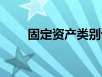 固定资产类别设置（固定资产类别）