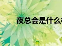 夜总会是什么样的地方，比如酒吧？