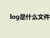 log是什么文件格式（log是什么文件）