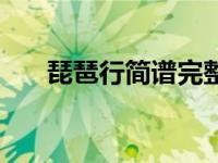 琵琶行简谱完整琵琶版（琵琶行简谱）