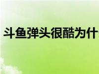 斗鱼弹头很酷为什么不直播了（斗鱼弹幕没）