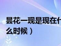 昙花一现是现在什么时候（昙花一现的现是什么时候）