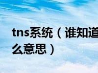 tns系统（谁知道工程现场电的TNS系统是什么意思）