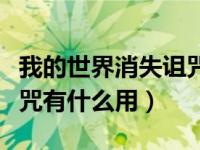 我的世界消失诅咒有什么用（我的世界绑定诅咒有什么用）