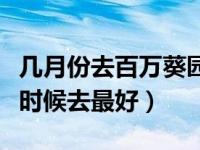 几月份去百万葵园比较好（广州百万葵园什么时候去最好）