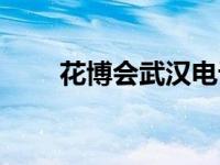 花博会武汉电话（武汉花博会地址）