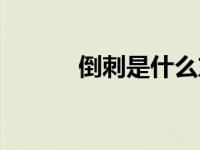 倒刺是什么东西（倒刺是什么）