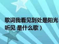 歌词我看见到处是阳光（歌词有句是爱要让你看见 爱要让你听见 是什么歌）