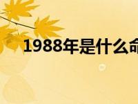 1988年是什么命格（1988年是什么命）