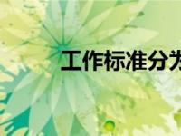 工作标准分为（工作标准是什么）