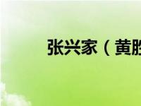 张兴家（黄胜日了张振兴的老婆）